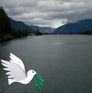 Meet your Posher, Bruce